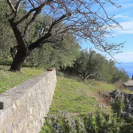 With Parking Space Brela, Makarska - 18495